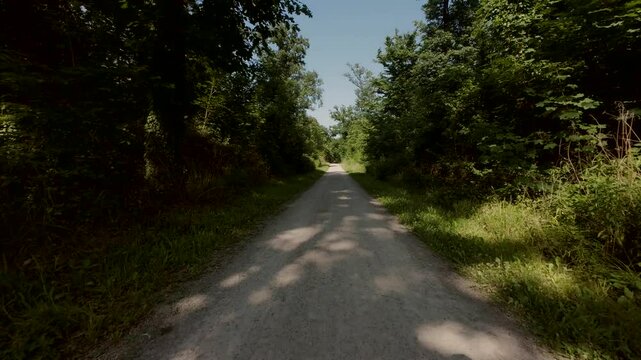 Road in the summer forest. Vacation mood.