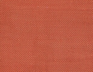 Elegant Coral Fabric for Upholstery and Decor