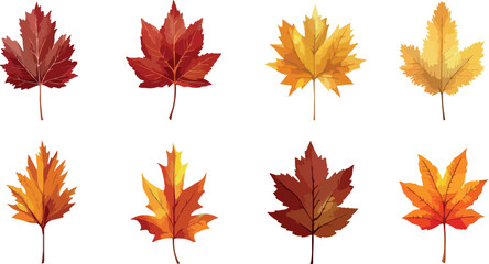 Isolated Autumn Leaves in Various Colors A Collection of Eight Fall Foliage Illustrations in Red Orange and Yellow Perfect for Seasonal Designs and Decorations