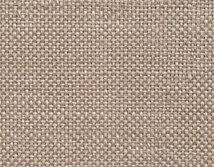 Fototapeta premium Elegant Beige Textured Fabric for Home Decor