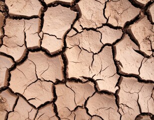 Cracked Earth Surface with Parched Soil