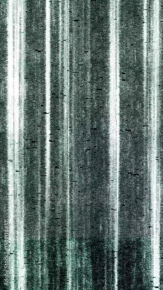 Poster vhs noise glitch. tv no signal. noise overlay pattern. noise distortion effect. vhs texture. bad tel