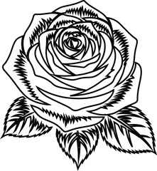 Monochrome rose illustration with leaves on a black background art