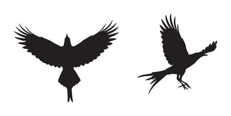 Obraz premium Flying Bird Silhouette Vector Illustration for Nature and Freedom Design