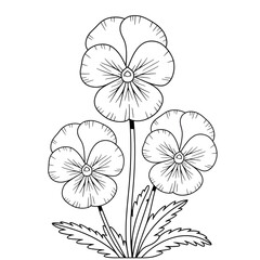 A black and white flower pansy illustration line art of a coloring page