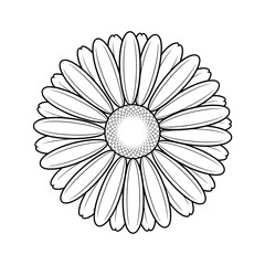 A black and white flower daisy illustration line art of a coloring page