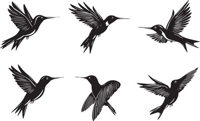 Obraz premium Elegant Silhouette Collection of Hummingbirds in Flight Featuring Various Wing Positions and Dynamic Poses Ideal for Graphic Design Logos and Nature Inspired Projects with a