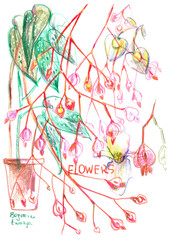 Hand drawn begonia pot plant floral background with colorful flowers, leaves. Green nature background.