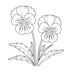 A black and white flower pansy illustration line art of a coloring page