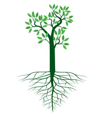 A tree drawn by hand. Green leaves on branches and roots. Vector Illustration.