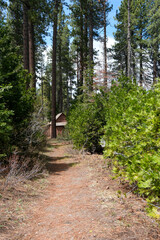 Sugar Pine Point Beach on Lake Tahoe with its beach, pine trees, and beautiful clear water.