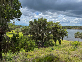 View from Temple Mound 5 at Crystal River Archaeological State Park in Crystal River, Florida
