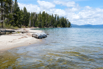 Sugar Pine Point Beach on Lake Tahoe with its beach, pine trees, and beautiful clear water.
