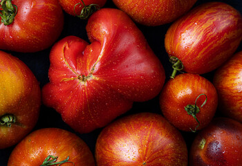 Juicy seasonal fragrant red tomatoes close-up