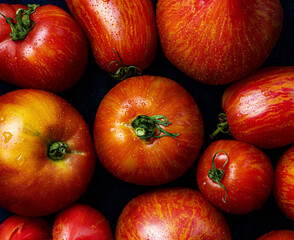 Juicy seasonal fragrant red tomatoes close-up