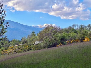 Scenic view of rolling hills, mountains, and a cloudy sky under sunlight. Mountain range with wildflowers. Landscape with Rolling Hills and Cloudy 