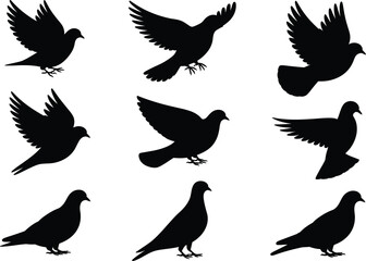 Collection of nine black bird silhouettes in various flying positions