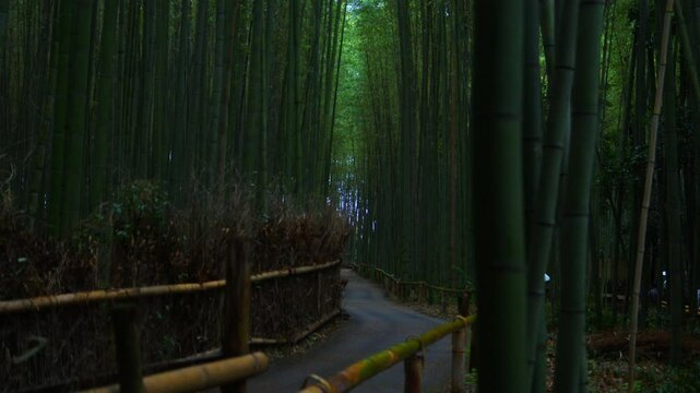 chemin au milieu d'une for&ecirc;t de bamboo