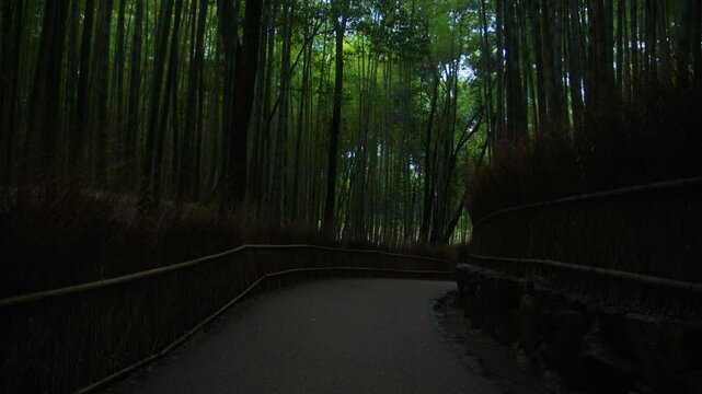 chemin au milieu d'une for&ecirc;t de bamboo