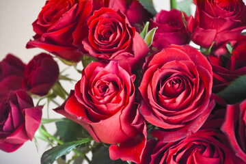 赤い薔薇