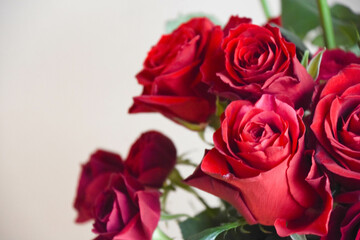 赤い薔薇
