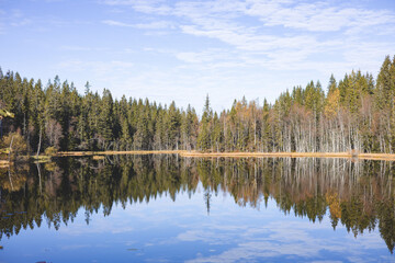 Perfect reflection of Norwegian forest trees mirrors across a still lake in Oslo Marka, blending...