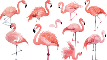 Naklejka premium Elegant Watercolor Flamingo Collection A Vibrant Assembly of Pink Birds in Various Poses Perfect for Tropical Themes Artistic Designs and Summer Inspired Creative Projects on