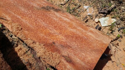 old brick wall with wood texture