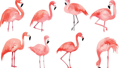 Fototapeta premium Elegant Flamingo Collection A Vibrant Assembly of Pink Birds in Various Poses Perfect for Summer Designs Tropical Themes or Artistic Projects with a Touch of