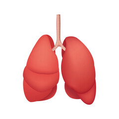 Human Lungs Anatomy, internal organ illustration isolated on white background