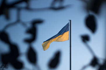 flag of ukraine