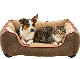 Cute dog and cat relaxing in pet bed isolated on transparent background