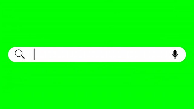 Animation search bar on green screen. Internet Searching Engine Line. Web Search. Modern seamless motion design.