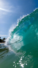Ocean Wave's Crest: A mesmerizing turquoise wave crests and curls, its translucent form revealing the sunlit sky. Capturing the power and beauty of the ocean in perfect detail.