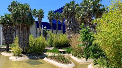 Tropical oasis with towering palms whispering tales, Earth Day celebration, serene zen retreat...
