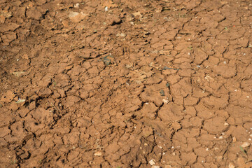 Parched, cracked earth showing signs of severe drought and soil degradation under hot.
