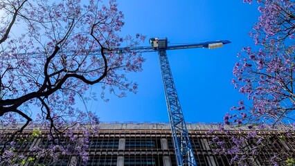 Majestic blue crane towers amidst ethereal purple jacarandas, a surreal dance of industrial...