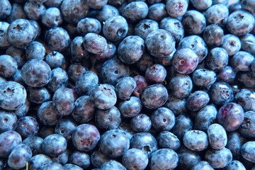 Fresh Blueberries Background. Piled Blueberry Spinning Backdrop. Sweetest Delight. Vibrant closeup of plump ripe blue berries are healthy recipes, snacks. Full frame. Ideal for food, health, nature