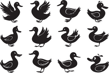 Silhouette Collection Twelve Unique Duck Illustrations