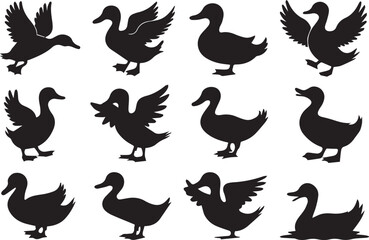 Collection of Duck Silhouettes A Diverse Set of Elegant Bird Illustrations