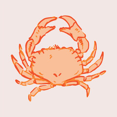 Hand drawn orange crab vector illustration on light background