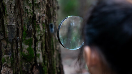 A happy little girl is exploring in the forest and looking for insects with a magnifying glass. Adventure tourism and learning concept.