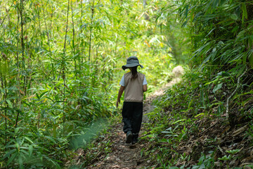Little girl happily exploring nature. Cute little girl learning about nature during a summer day...