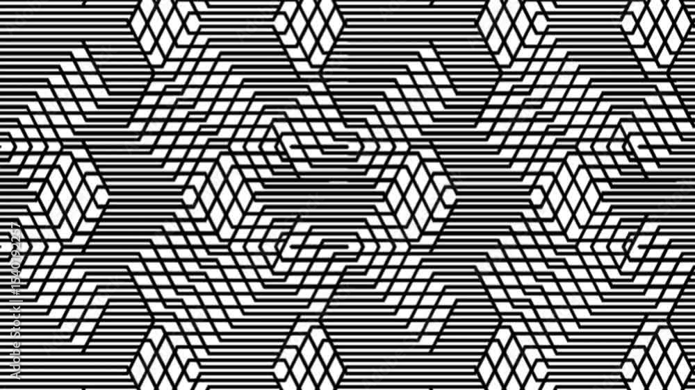 Poster abstract flow of black and white lines. seamless loop motion background