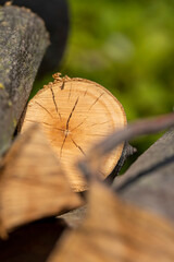 wood for barbecuing or cooking on the fire, closeup
