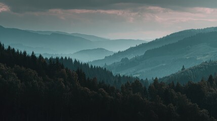 deep forest with hills in background fading away