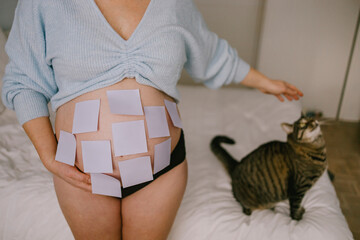 Pregnant Woman with Sticky Notes on Belly, Expecting Baby, Creative Maternity Concept with Cat in Background