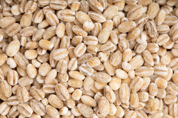 Pearl barley grains background