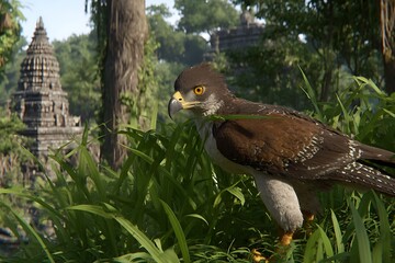 Hawk perched in jungle ancient temple