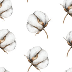 Cotton Plants Seamless Background. Botanical Background with   cotton balls. Floral Watercolor Illustration. Hand painted watercolor cotton branches. 
Watercolor cotton flowers seamless print